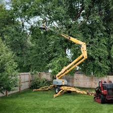 Best Aeration Services  in Greenwood Village, CO